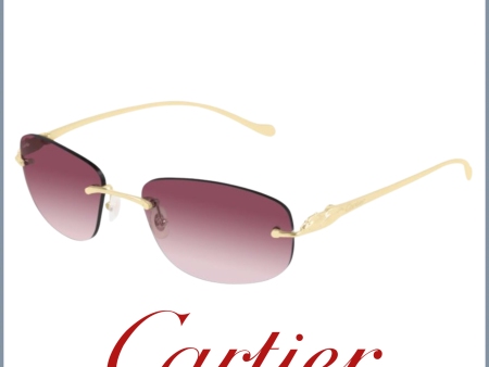 Cartier CT0026RS-001 55 Sunglasses Women Metal Online Sale